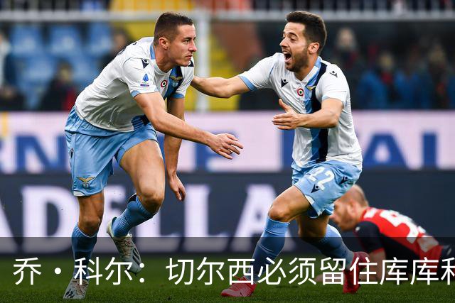 乔·科尔：切尔西必须留住库库和恩佐，我宁愿出售其他人筹集资金