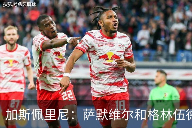 加斯佩里尼：萨默维尔和格林伍德？俱乐部建立了合同目标参数