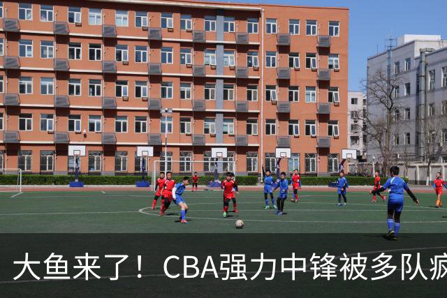 大鱼来了！CBA强力中锋被多队疯抢，或加盟广东队驰援杜锋？