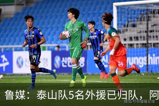 鲁媒：泰山队5名外援已归队，阿尔瓦罗6月份复出难度比较大