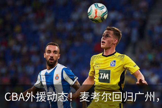 CBA外援动态！麦考尔回归广州，浙江签新外，青岛续米奇韦胖待定